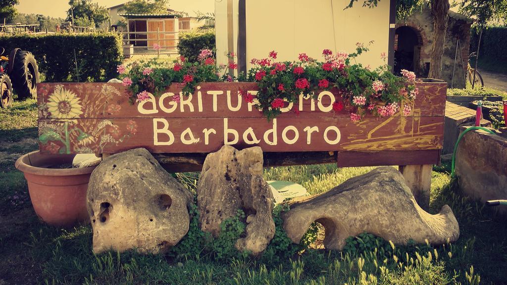 Barbadoro Agroturismo San Vincenzo