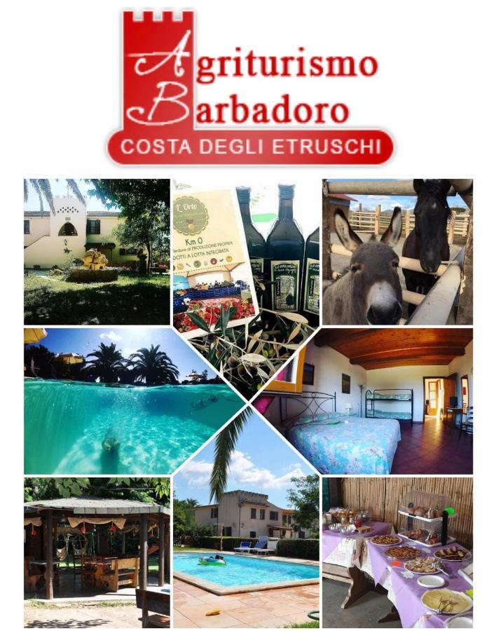 Barbadoro Agroturismo San Vincenzo